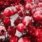 6-Pack 22" Red Frosted Berry Wreath - 22-Inch Iced Hawthorn Twig Berries Holiday Decorative Winter Christmas Berry Wreaths for Front Door, Fireplace, Mantel, Xmas Décor - Christmas Berry Wreath